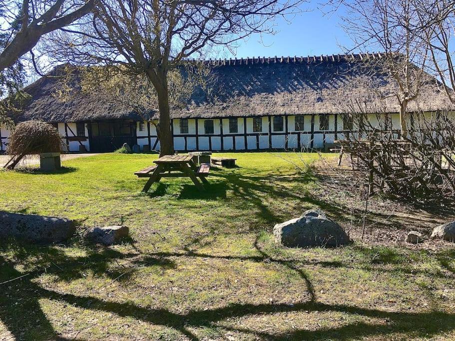 Enghavegard Nyborg Extérieur photo